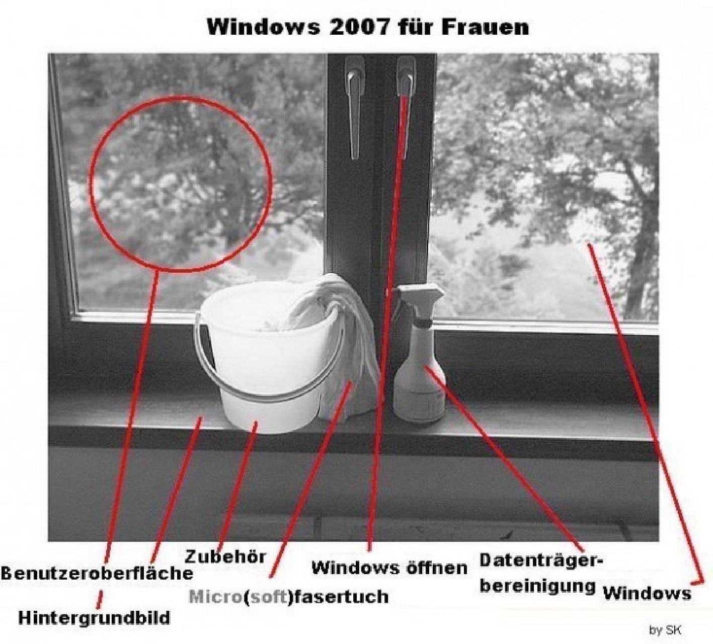 windows2007frfrauen.jpg